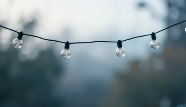 慢性病管理服务的性能分析：适用情况与限制探讨